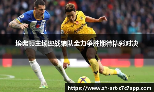 埃弗顿主场迎战狼队全力争胜期待精彩对决